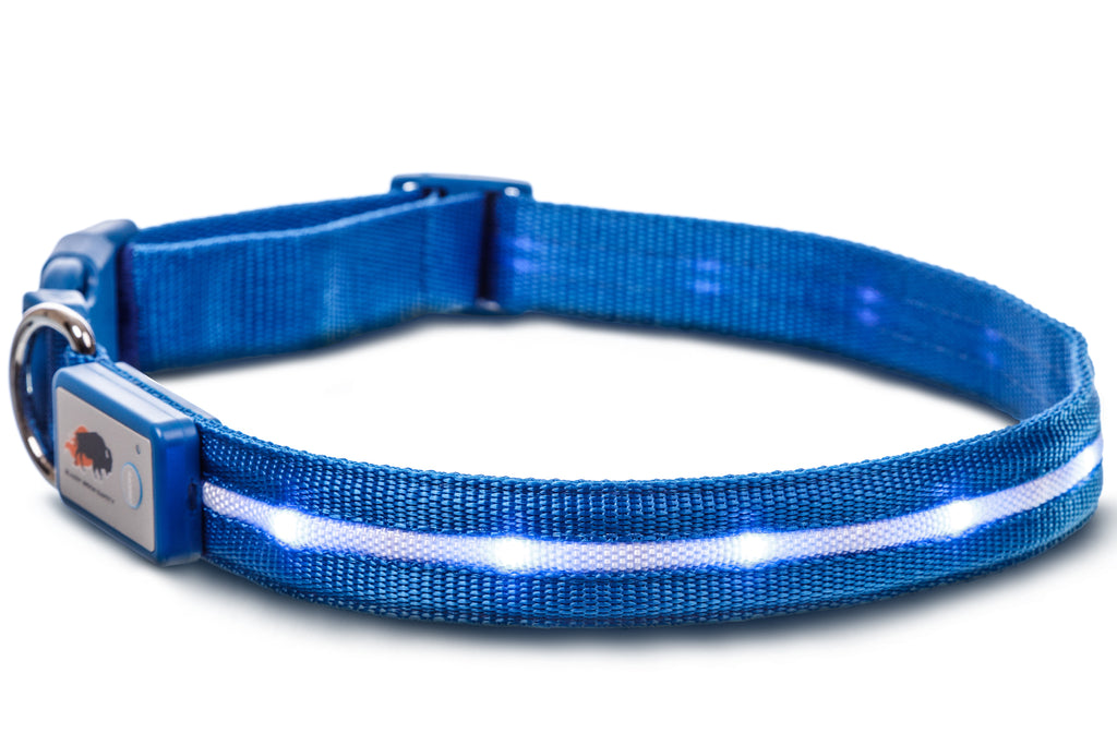 Blue LED Dog Collar