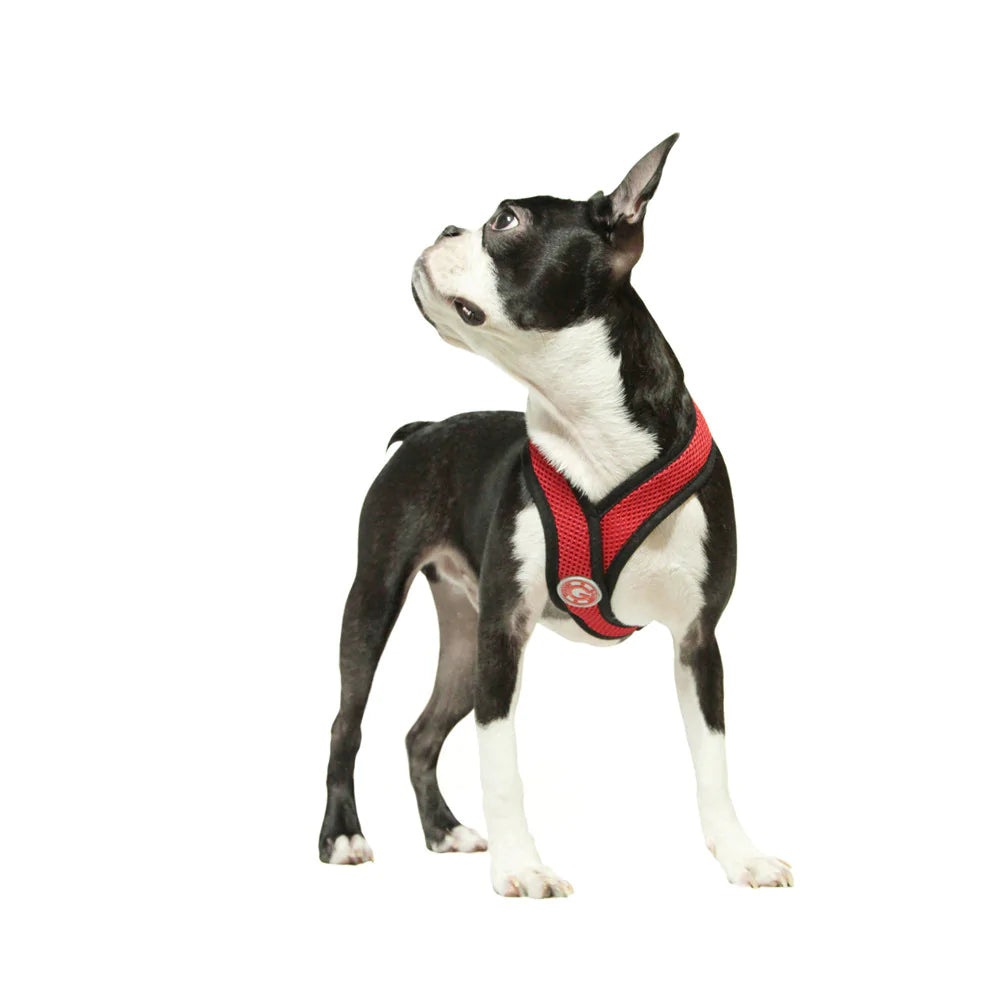 Comfort top x harness