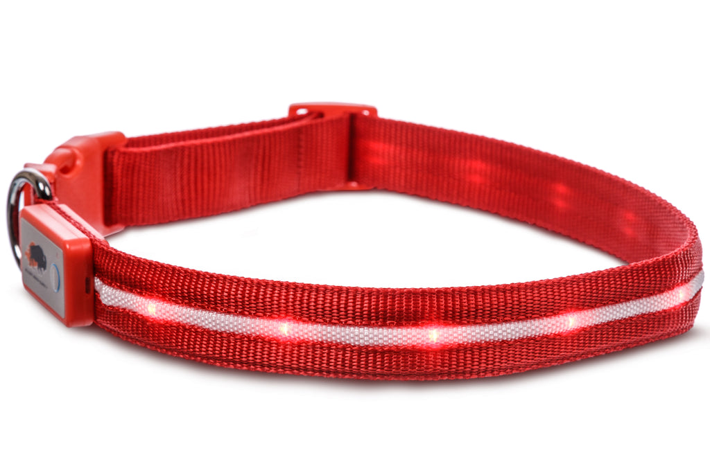 Red LED Dog Collar