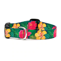 Hibiscus Dog Collar